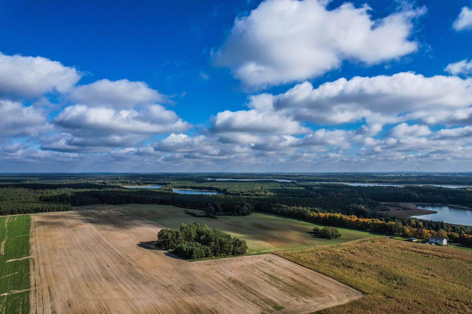 An aerial view of open farmland, tree lines, and small lakes