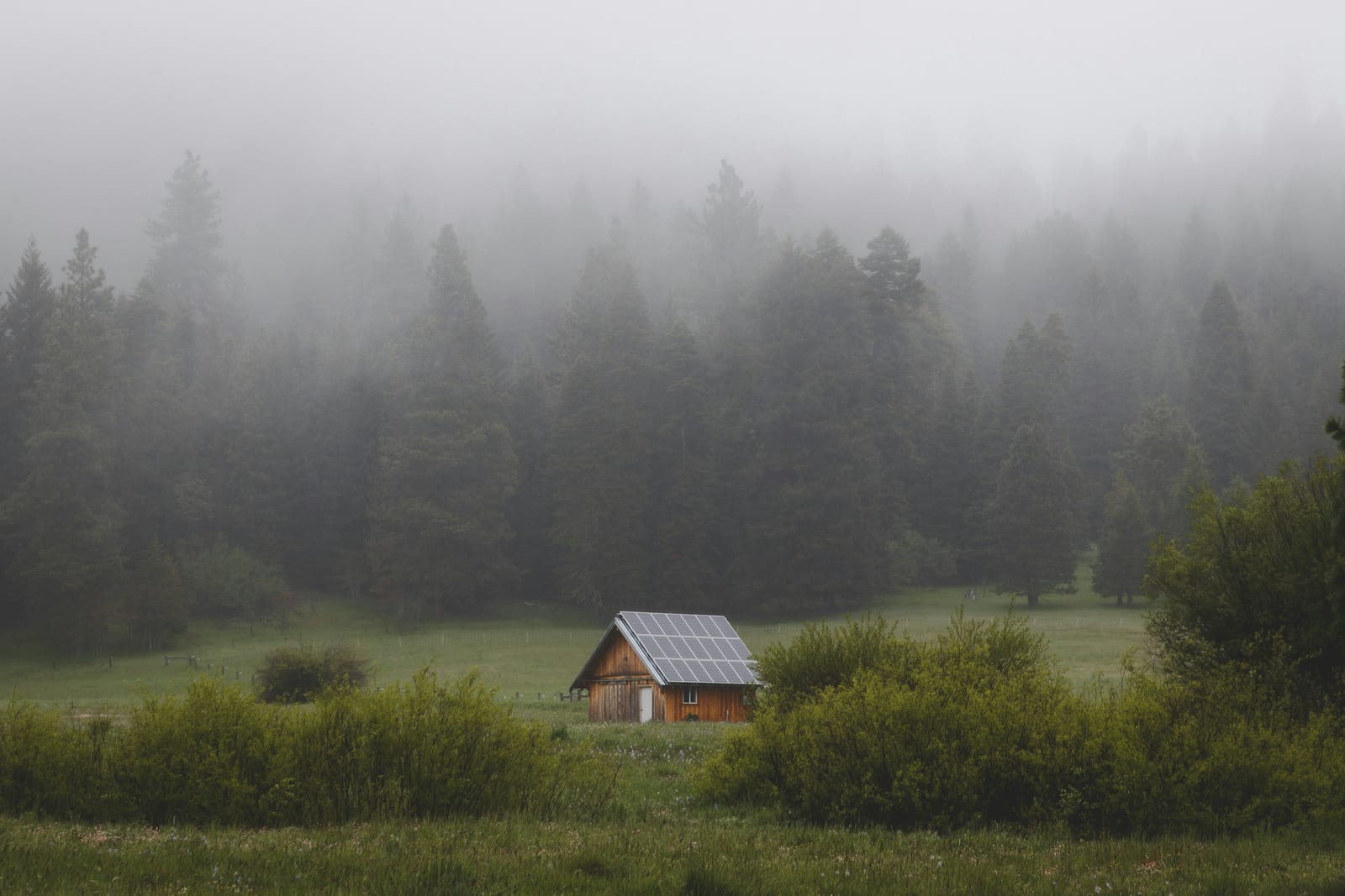 A small off-grid cabin with a solar roof in a foggy Oregon meadow